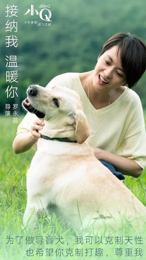 西安工业大学毕业证样本